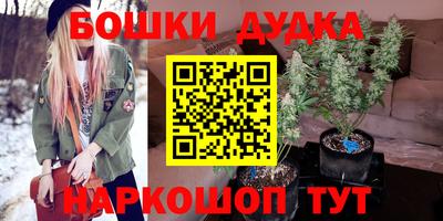 хмурый Бийск