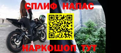 хмурый Бийск