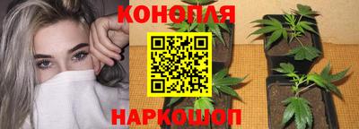 хмурый Бийск