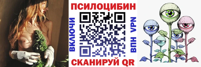 Псилоцибиновые грибы Psilocybe  Мариинск 