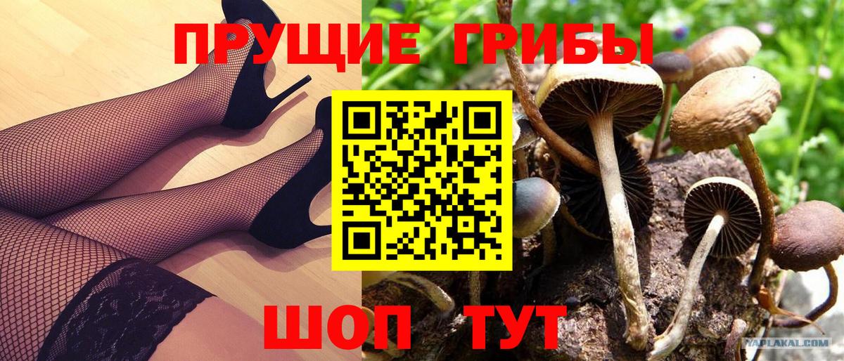 Псилоцибиновые грибы Magic Shrooms Мариинск