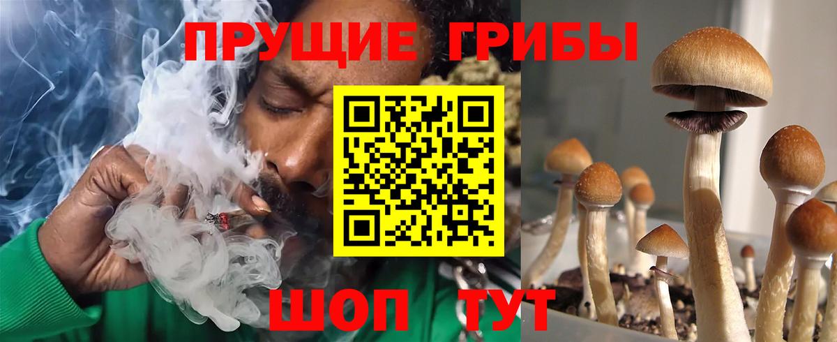 Псилоцибиновые грибы прущие грибы  Вход с VPN  Мариинск 